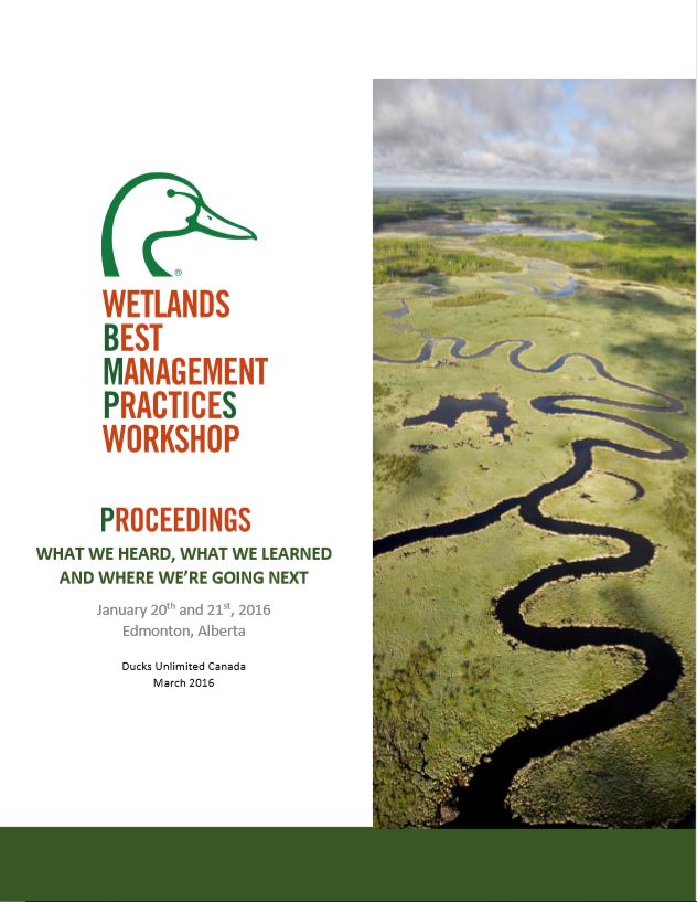 thesis wetland management